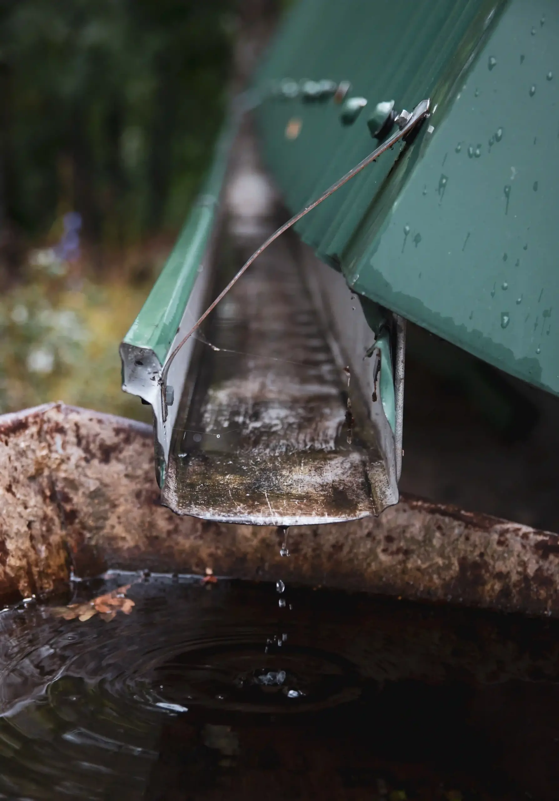 Why Choose Auckland Water Blast for Gutter Cleaning?